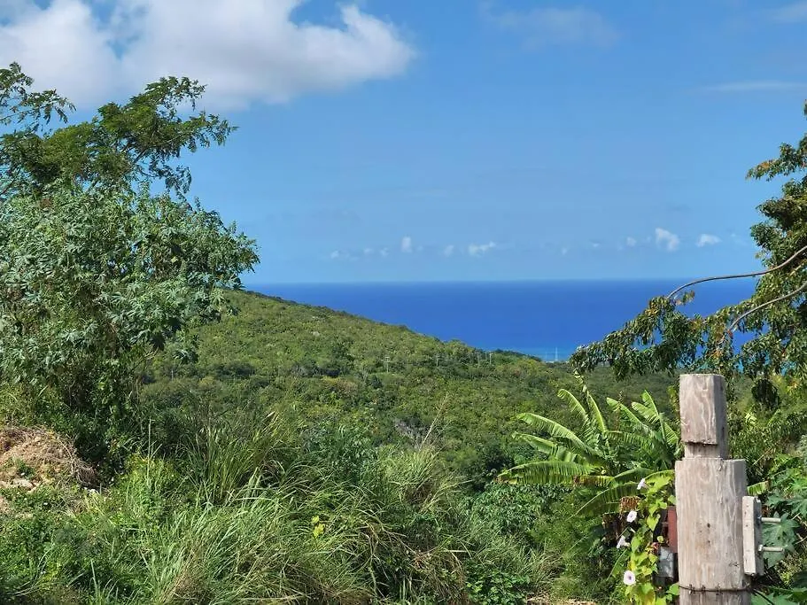 Relax And Unwind At Scenic Plateau Apartment Montego Bay 0*,